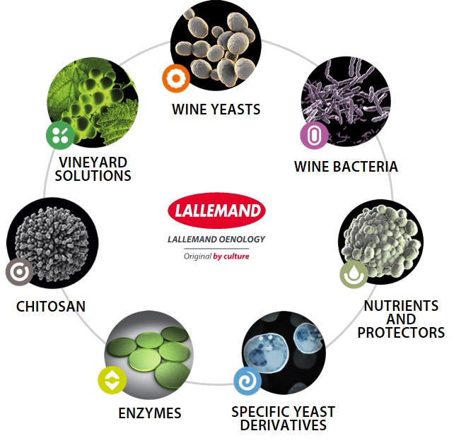 Who we are - Lallemand Wine